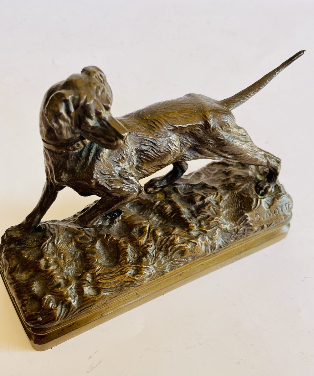 Hunting Dog On Point D.motte -photo-7